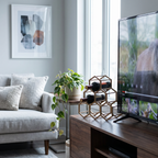 Living room with a gray sofa, plant, wine rack, and TV displaying a nature scene.